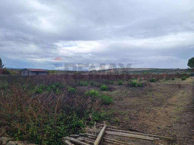 Terreno in vendita a Lentini, Sicilia