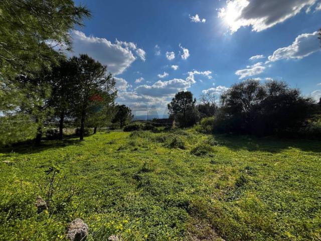 Terreno in vendita a Lentini, Sicilia