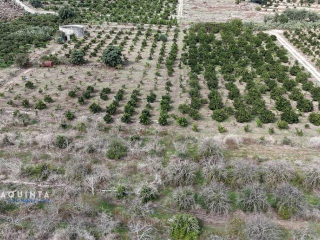Terreno in vendita a Lentini, Sicilia