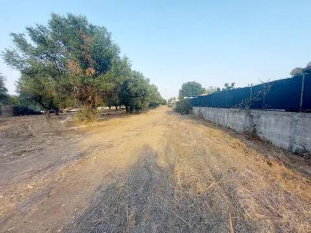 Terreno in vendita a Leporano, Taranto
