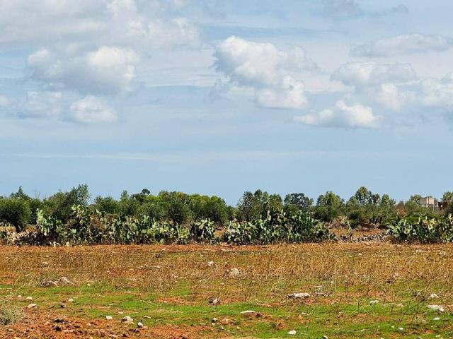 Terreno in vendita a Puglia, Lecce