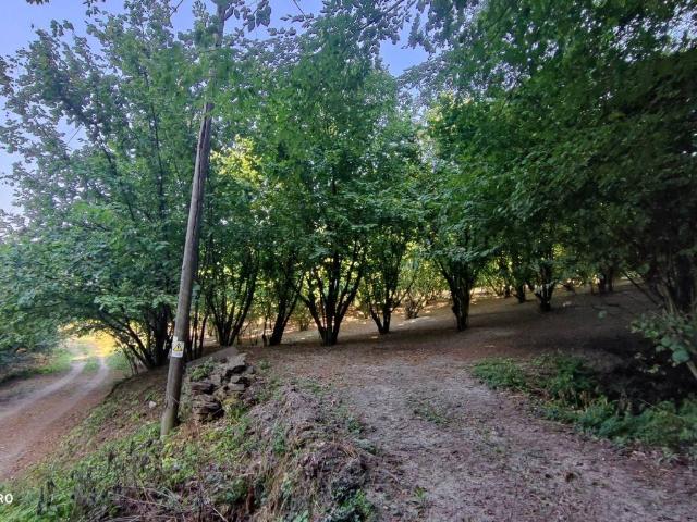 Terreno in vendita a Piemonte, Cuneo
