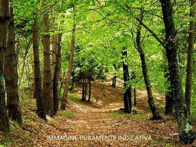 Terreno in vendita a Piemonte, Cuneo