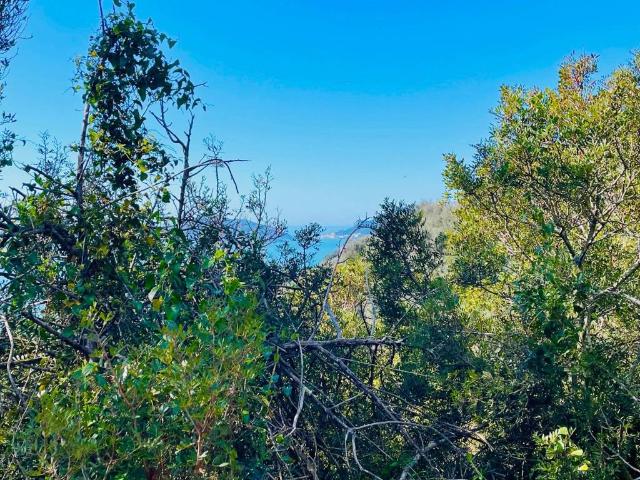 Terreno in vendita a La Serra, Lerici