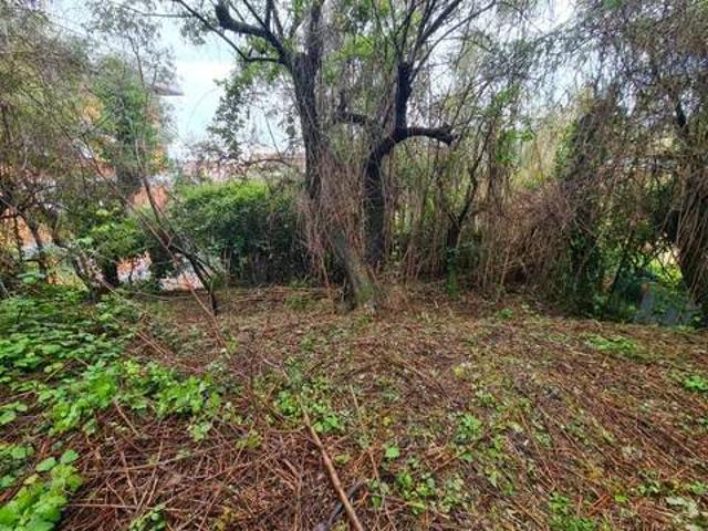 Terreno in vendita a San Terenzo, Lerici