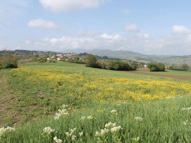 Terreno in vendita a Lesignano De' Bagni, Reggio Emilia