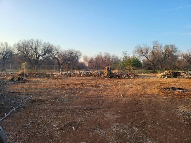 Terreno in vendita a Puglia, Lecce
