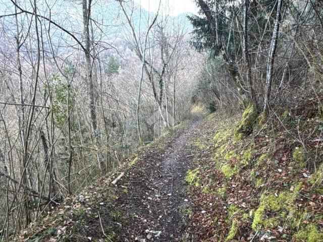 Terreno in vendita a Lierna, Lombardia