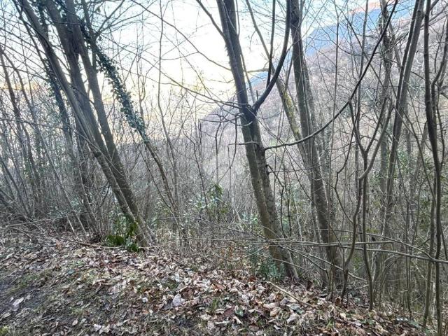 Terreno in vendita a Lierna, Lombardia