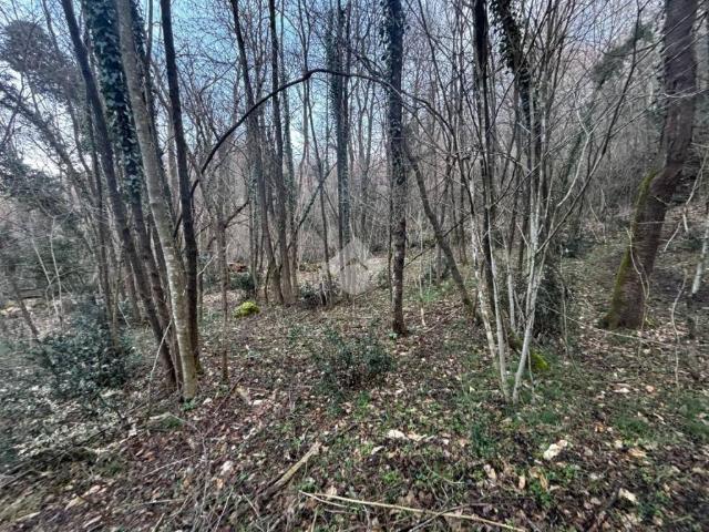 Terreno in vendita a Lierna, Lombardia