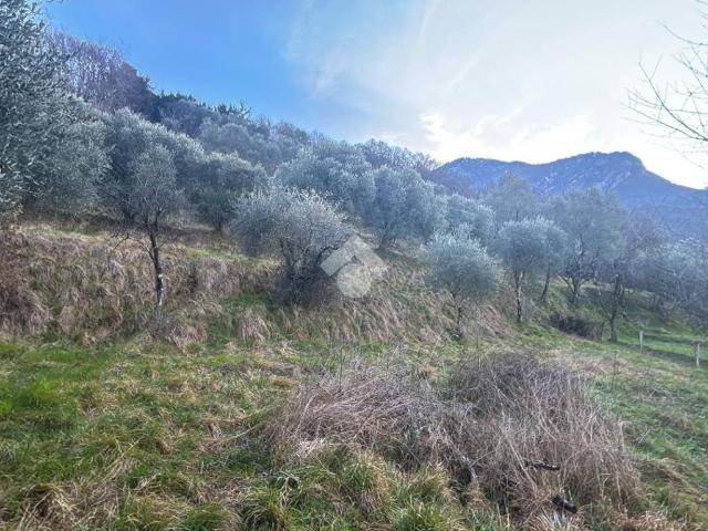 Terreno in vendita a Lierna, Lombardia