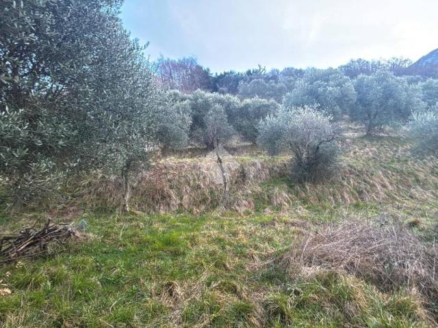 Terreno in vendita a Lierna, Lombardia