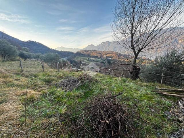 Terreno in vendita a Lierna, Lombardia