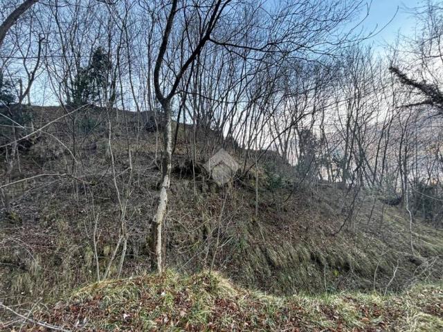 Terreno in vendita a Lierna, Lombardia