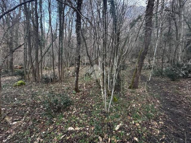 Terreno in vendita a Lierna, Lombardia