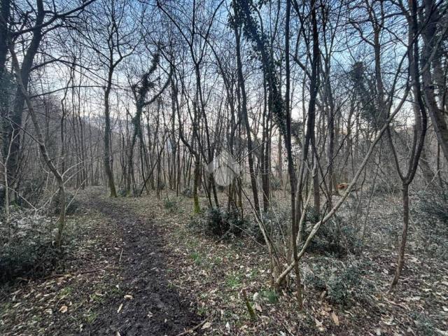Terreno in vendita a Lierna, Lombardia