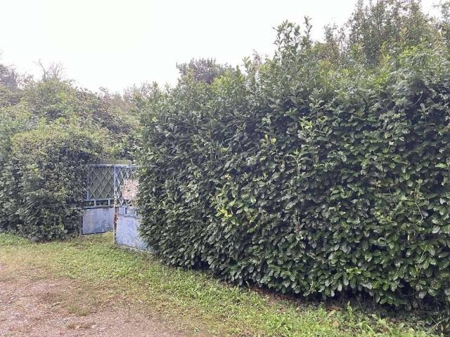 Terreno in vendita a Limbiate, Lombardia