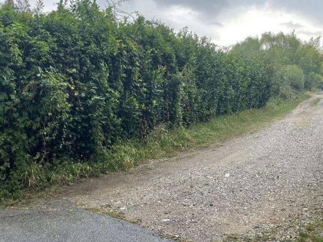 Terreno in vendita a Limbiate, Lombardia