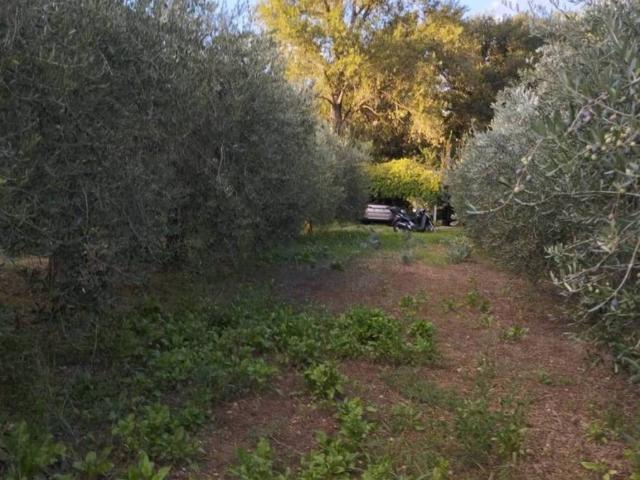 Terreno in vendita a Livorno, Toscana