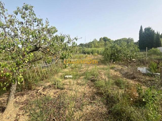 Terreno in vendita a Livorno, Toscana