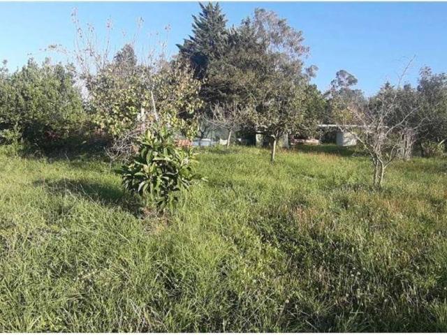 Terreno in vendita a Livorno, Toscana