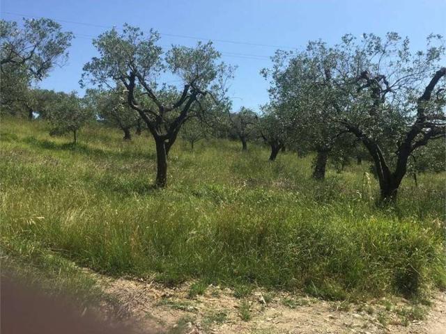 Terreno in vendita a Livorno, Toscana