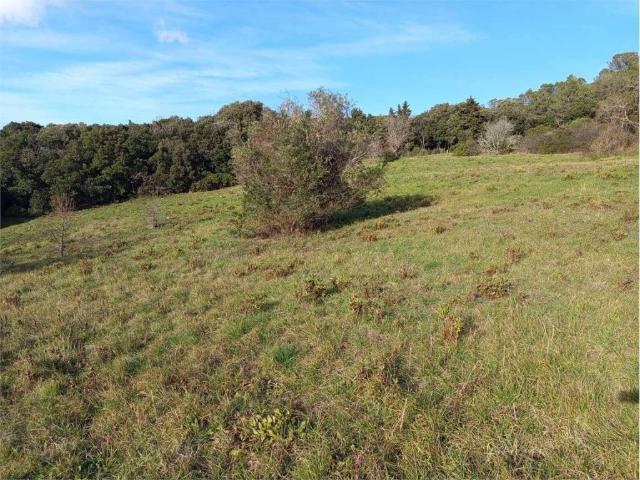 Terreno in vendita a Livorno, Toscana