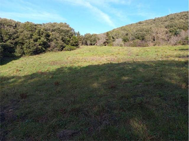 Terreno in vendita a Livorno, Toscana