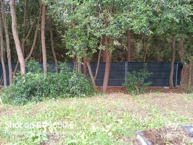 Terreno in vendita a Livorno, Toscana