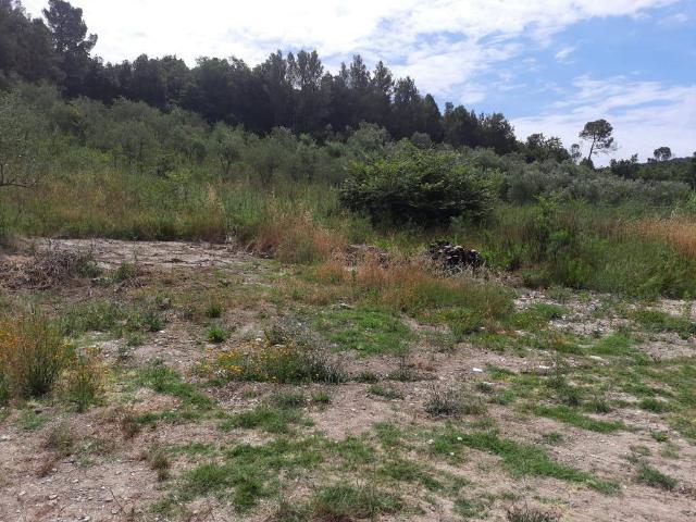Terreno in vendita a Livorno, Toscana