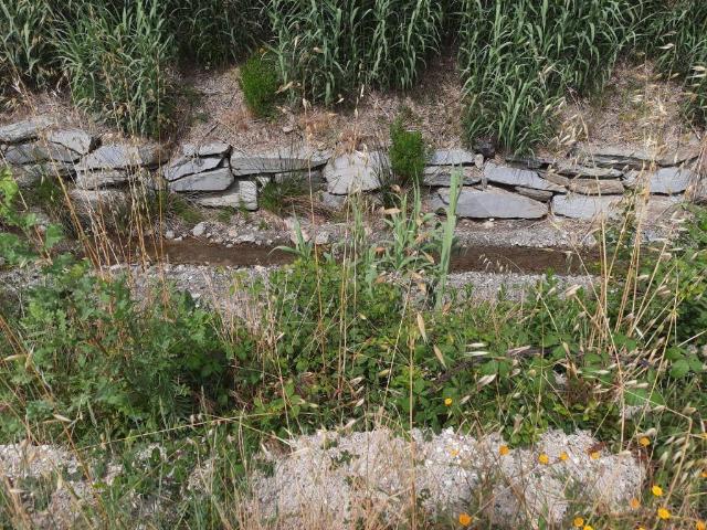 Terreno in vendita a Livorno, Toscana