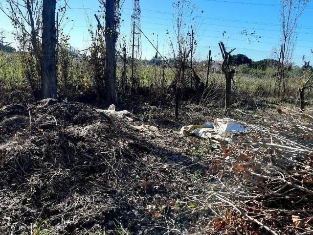 Terreno in vendita a Livorno, Toscana