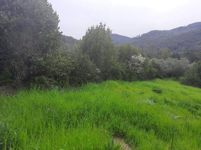 Terreno in vendita a Livorno, Toscana