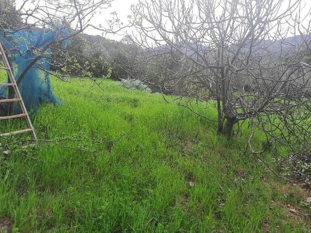 Terreno in vendita a Livorno, Toscana