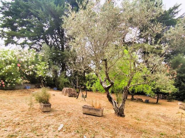 Terreno in vendita a Livorno, Toscana