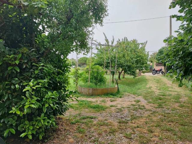 Terreno in vendita a La Cigna, Livorno