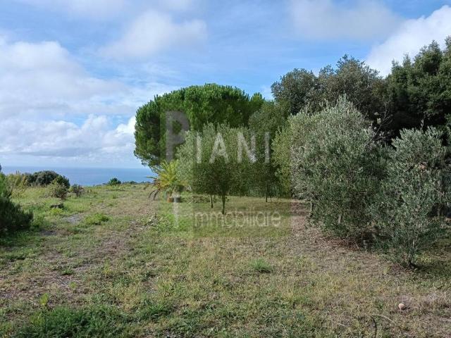 Terreno in vendita a Livorno, Toscana