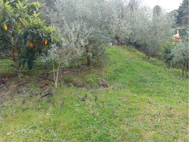 Terreno in vendita a Livorno, Toscana