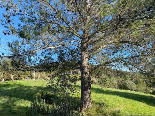 Terreno in vendita a Livorno, Toscana