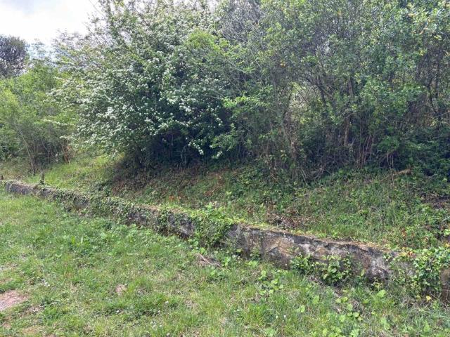 Terreno in vendita a Montenero Alto, Livorno