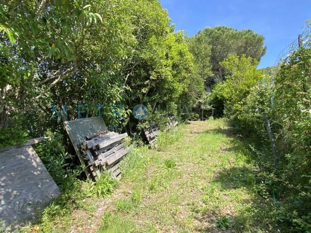 Terreno in vendita a Livorno, Toscana