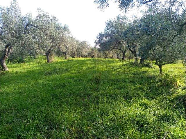 Terreno in vendita a Livorno, Toscana
