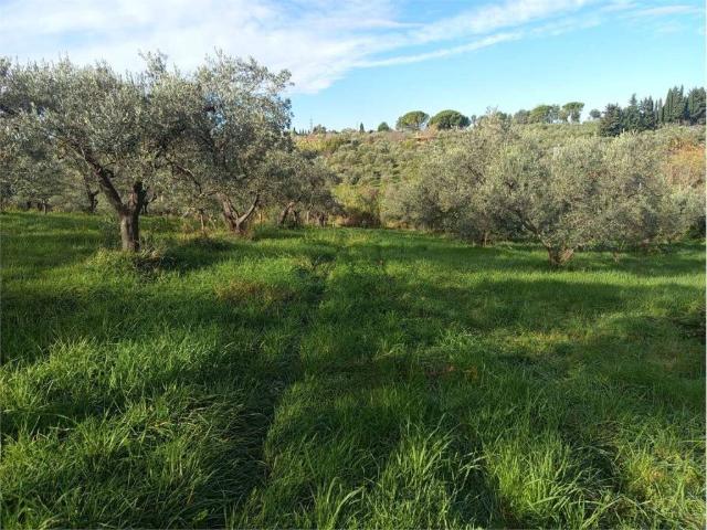 Terreno in vendita a Livorno, Toscana