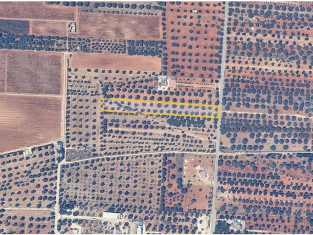 Terreno in vendita a Puglia, Taranto