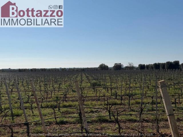 Terreno in vendita a Puglia, Taranto