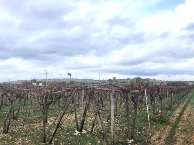 Terreno in vendita a Puglia, Taranto