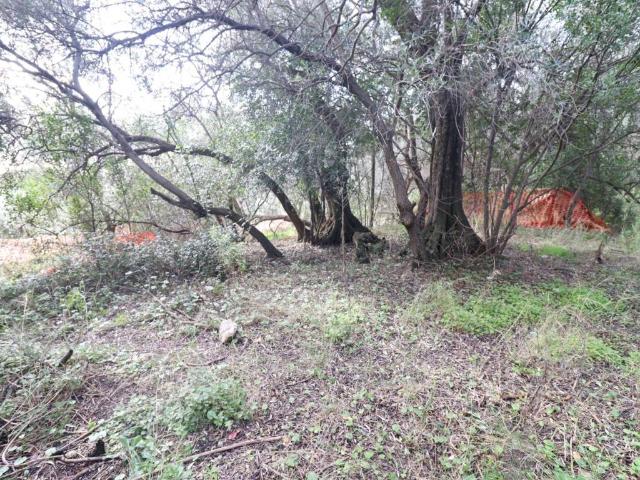 Terreno in vendita a Loano, Liguria