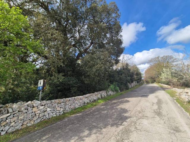 Terreno in vendita a Puglia, Bari