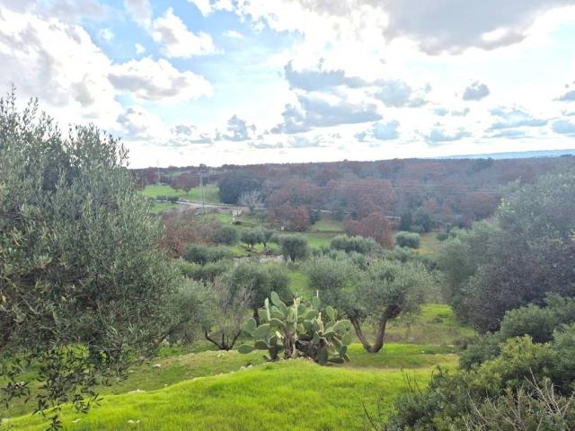 Terreno in vendita a Puglia, Brindisi