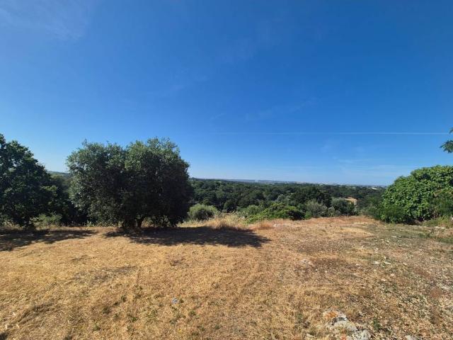 Terreno in vendita a Puglia, Brindisi